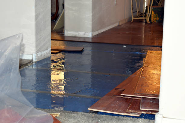 Professional Water Damage Restoration technician working in Paden City, WV